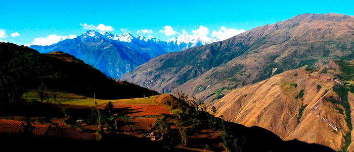 pampas chinchero